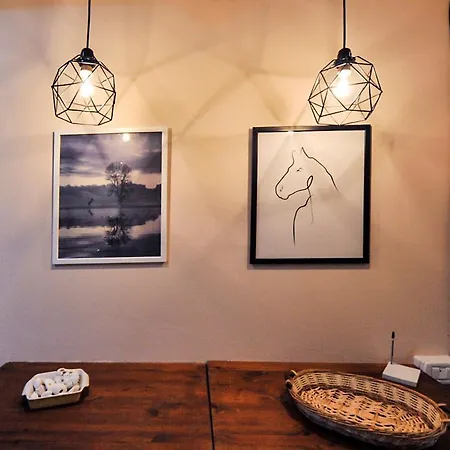 Apartamento Vado Al Teatro Monolocale In Centro Per 2